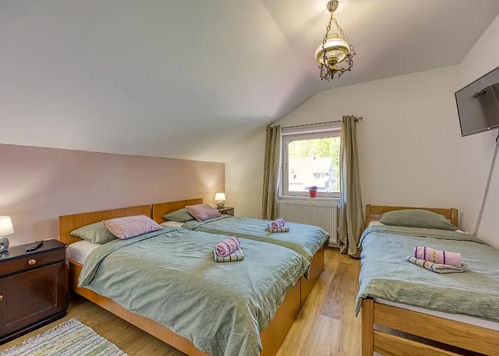 Centar Делнице